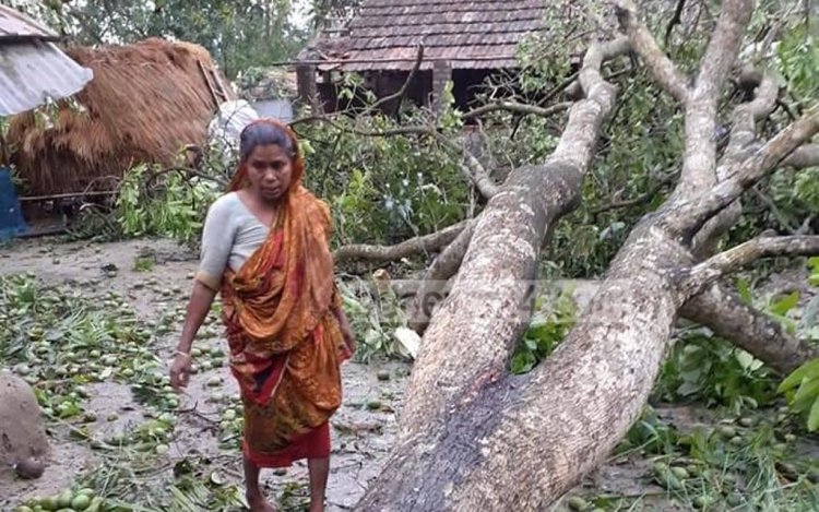 নীলফামারীতে ঝড়ে ক্ষতিগ্রস্ত শতাধিক ঘরবাড়ি