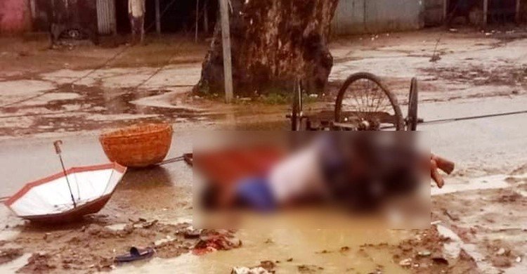 চলন্ত ভ্যানে বিদ্যুতের তার পড়ে চালকসহ প্রাণ গেলো দুজনের