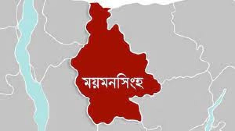 বিয়ে নিয়ে দ্বন্দ্ব, ছেলের মা ও মামার হাতে প্রাণ গেল শ্বশুরের