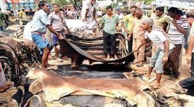 কোরবানির চামড়ার ভালো ব্যবসার আশা, আছে শঙ্কাও