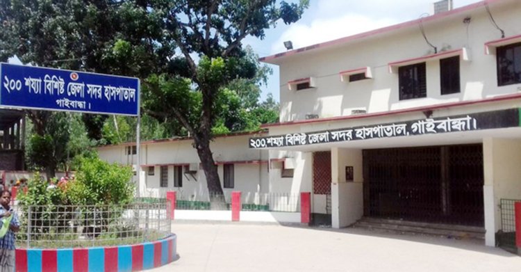 গাইবান্ধায় কুকুরের কামড়ে ৯ জন হাসপাতালে