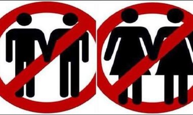 সমকামী নারীর গর্ভে তার ১৫ সন্তান