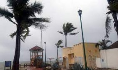  মেক্সিকোতে হ্যারিকেন আগাথা’র তাণ্ডবে  নিহত ১০