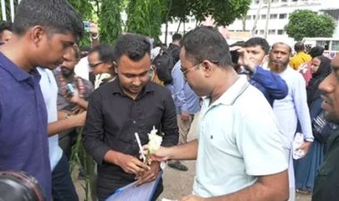 ঢাকা বিশ্ববিদ্যালয় ক্যাম্পাসে ছাত্রদল