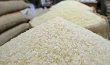আপাতত চাল রপ্তানি বন্ধের পরিকল্পনা নেই ভারতের
