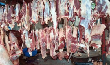 মরা গরুর মাংস বিক্রির অপরাধে কারাগারে ২ কসাই