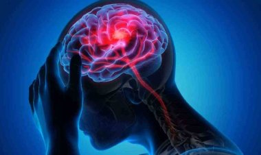 সবুজ গাছপালার কাছাকাছি থাকলে কমে স্ট্রোকের আশঙ্কা, দাবি গবেষণায়