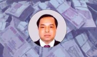 ভারতে পি কে হালদার ও সহযোগীদের ৩শ কোটির সম্পদ, মালয়েশিয়ায় ৭ ফ্ল্যাট