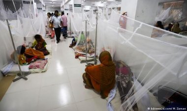 ঢাকায় ডেঙ্গু রোগী বাড়ছে