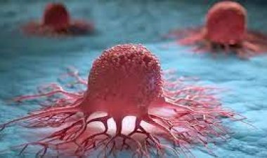 ক্যানসারের পরীক্ষামূলক ওষুধে শতভাগ সাফল্য