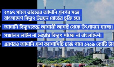 ‘বিদ্যুৎ ছাড়াই ভারত ক্যাপাসিটি চার্জ পাবে ১২১৯ কোটি টাকা’