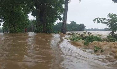 শেরপুরে ২ হাজার পরিবার পানিবন্দি