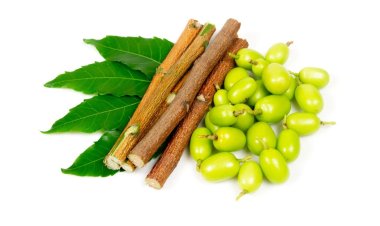 নিমডাল দিয়ে দাঁত মাজার উপকারিতা