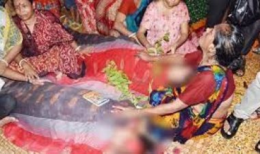 এক স্পর্শে নিভলো ৩ প্রাণ!