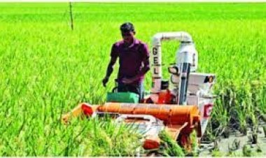  যুদ্ধে ২৫ শতাংশ ফসলি জমি হারিয়েছে ইউক্রেন