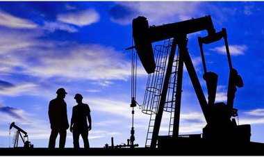  রাশিয়ার তেলের দ্বিতীয় বৃহত্তম আমদানিকারক ভারত