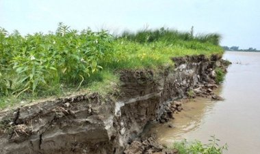 সিরাজগঞ্জে বাড়ছে যমুনার পানি, তীব্র নদীভাঙন