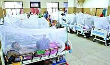 বাড়ছে ডেঙ্গু রোগী, ২৪ ঘণ্টায় আক্রান্ত ৩১ জন