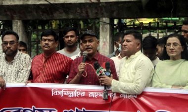 পদ্মা সেতু নিয়ে মাতামাতিতে জনগণের ক্ষতি হচ্ছে: আলাল