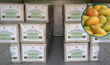 ভারতের রাষ্ট্রপতি-প্রধানমন্ত্রীকে শেখ হাসিনার আম উপহার