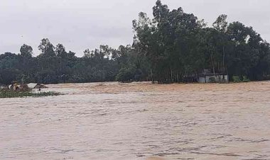 বন্যায় নিখোঁজ ২ জনের লাশ উদ্ধার