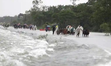 আশ্রয়কেন্দ্রে একাকার মানুষ আর পশুতে , খাবার নেই, পানি নেই