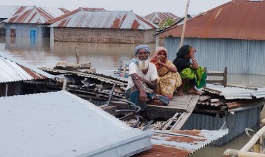 বিশুদ্ধ পানি-খাবার সংকটে কুড়িগ্রামের বানভাসি মানুষ