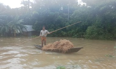 নেত্রকোণার ১০ উপজেলা প্লাবিত, বিদ্যুৎ বিচ্ছিন্ন ৭