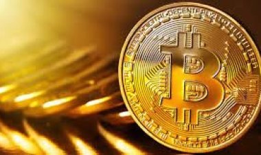  বিটকয়েনের মূল্যে রেকর্ড ধস, দর নেমেছে ২০ হাজার ডলারের নিচে