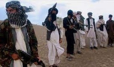 পাকিস্তানের সঙ্গে যুদ্ধবিরতিতে সম্মত জঙ্গিগোষ্ঠী তেহরিকে তালিবান