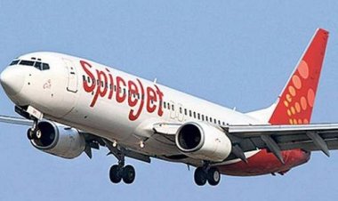 পাখির ডানার ঝাপটায় মাঝআকাশে যাত্রীবাহী বিমানে আগুন!