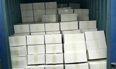 মমতা ব্যানার্জীকে ১০০০ কেজি আম উপহার পাঠালেন শেখ হাসিনা