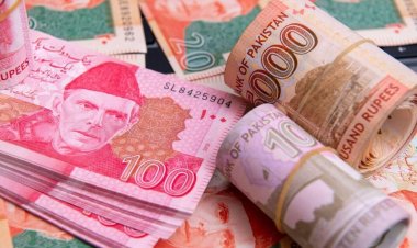  পাকিস্তানি রুপির মান সর্বনিম্ন পর্যায়ে, ২১২ রুপিতে মিলছে ১ ডলার