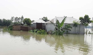 বিপৎসীমার ৫৪ সেমি ওপরে যমুনার পানি, নিম্নাঞ্চল প্লাবিত