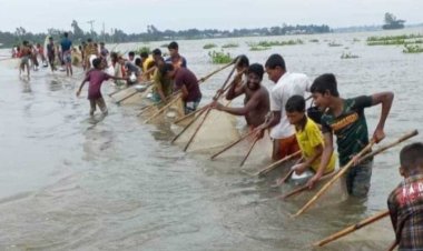 বন্যায় ভেসে গেছে ৫০০ মৎস্য খামার, ৩ কোটি টাকার ক্ষয়ক্ষতি