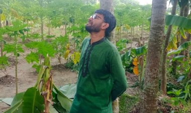 রাতের আঁধারে কৃষকের ৩০০ মেহগনি গাছ কেটে দিল দুর্বৃত্তরা