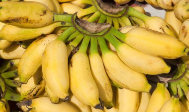 প্রতিদিন কলা খাওয়ার উপকারিতা