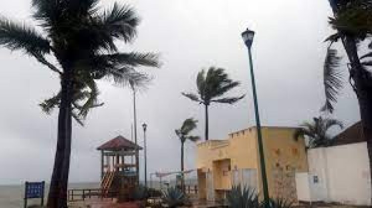 মেক্সিকোতে হ্যারিকেন আগাথা’র তাণ্ডবে নিহত ১০