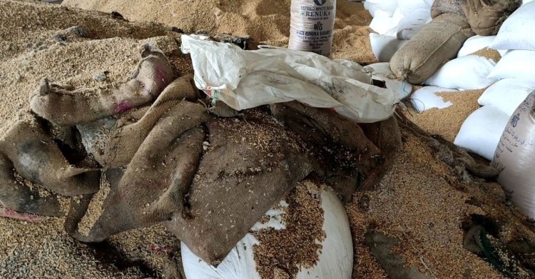 আখাউড়া স্থলবন্দরে পড়ে আছে ভারত থেকে আসা ১০০ টন ‘পচা গম’
