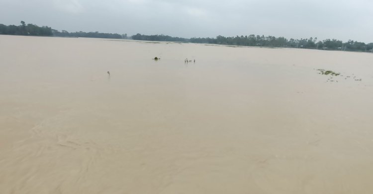 শেরপুরে নতুন দুই ইউনিয়ন প্লাবিত, পানিবন্দি ১০ হাজার মানুষ