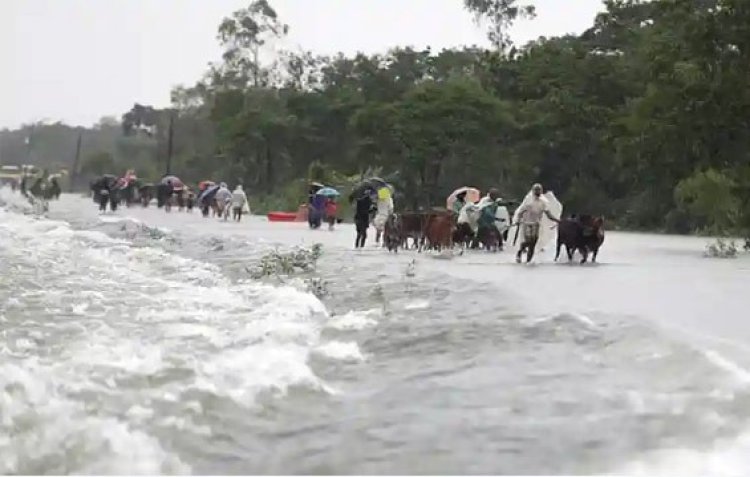 আশ্রয়কেন্দ্রে একাকার মানুষ আর পশুতে , খাবার নেই, পানি নেই