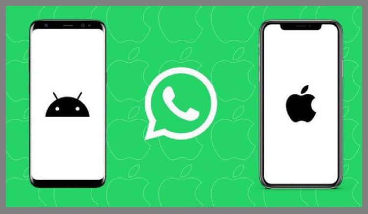 এবার Android থেকে iPhone-এ চ্যাট ট্রান্সফার করতে পারবেন ইউজাররা, নতুন ফিচার WhatsApp-এ