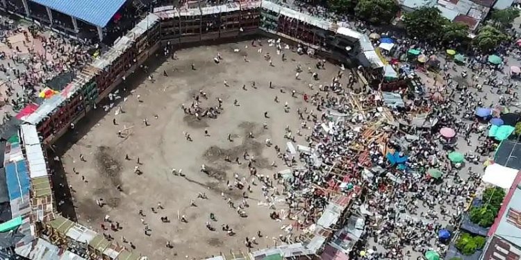 কলম্বিয়ায় ষাঁড়ের লড়াই: স্টেডিয়াম ভেঙে নিহত ৪