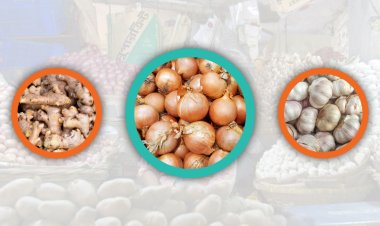 পেঁয়াজে শঙ্কা, পর্যাপ্ত মজুদে বিপদমুক্ত আদা-রসুন