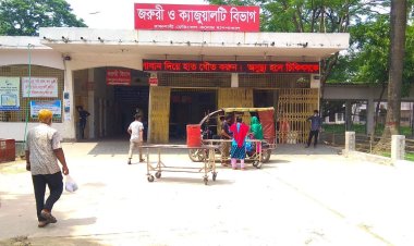 কুষ্টিয়ায় ভাগ্নের হাতুড়ির আঘাতে প্রাণ গেল মামার