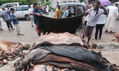 গরু-খাসির চমড়ার দাম নির্ধারণ