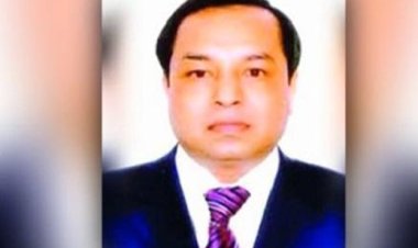 পি কে হালদার আরও ১৫ দিনের জেল হেফাজতে