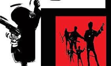 মেঘনায় গরু ব্যবসায়ীদের ট্রলারে ডাকাতি, ৩০ লাখ টাকা লুটের অভিযোগ