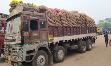 আমদানি শুরু, কমেছে দেশি পেঁয়াজের দাম