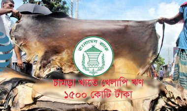 চামড়া খাতে খেলাপি ঋণ ১৫০০ কোটি টাকা